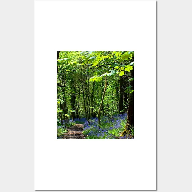 Bluebell Walk Wall Art by Alchemia